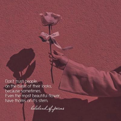 Poetry 16: don't judge a book by its cover