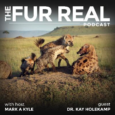 "HYENAS: SPOTTED AND MISUNDERSTOOD" with Dr. Kay Holekamp