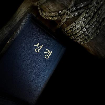 Episode 783: North Korea Bible Smuggling