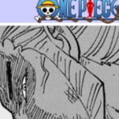 ENFIN LE PERE DE ZORO ? - ODEN - WANO - ONE PIECE 973
