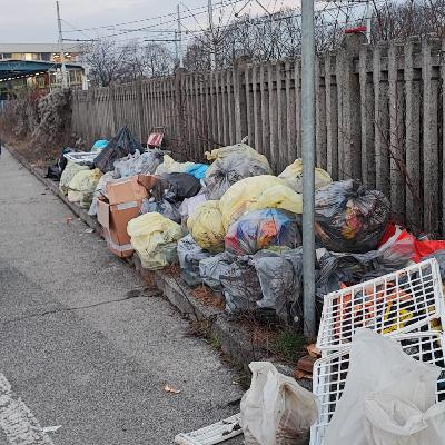 #Settimanale Radar - n. 3 del 15-01-2026-AVERE UN CANE è UNA RESPONSABILITà SERIA -TRA IL COMUNE E GLI ECO-WARRIOR NON C'È INTESA- P15 - S06