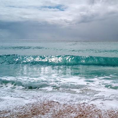 00 節目預告Trailer 00 節目預告Trailer