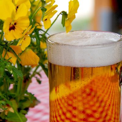 Episode 243: Brewing Local in NC with Free Range Brewing