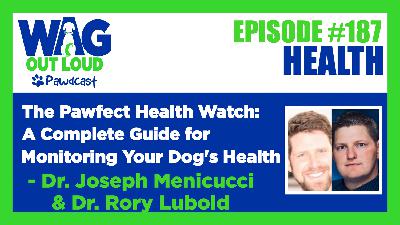 The Pawfect Health Watch: A Complete Guide for Monitoring Your Dog’s Health