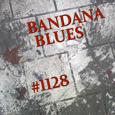 Bandana Blues #1128 - Blues For A Reason Bandana Blues #1128 - Blues For A Reason