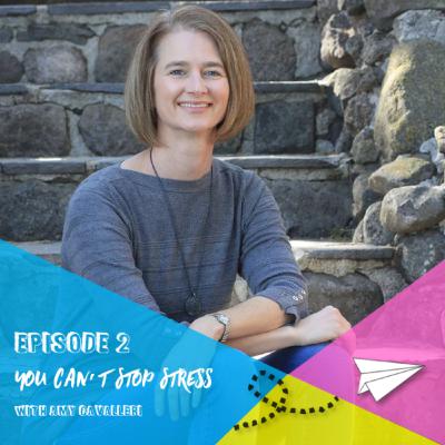 You Can't Stop Stress