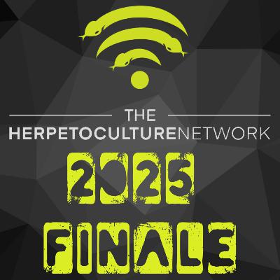 2025 THN Finale