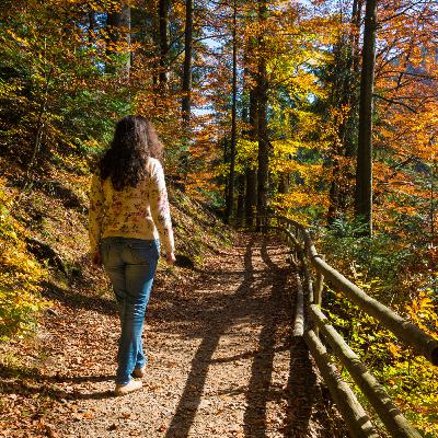 Roots of Self: Grounding in Nature - Walking Meditation