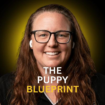 Don't Mess Up Your Puppy: Kimberli Weeks on Balanced Training & Sport Dogs