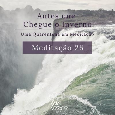 Meditação 26 - Noé
