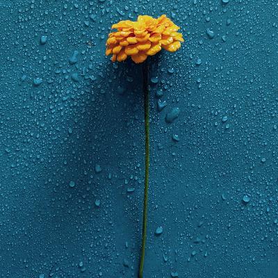 2035 - End of the World? 2035 - End of the World?