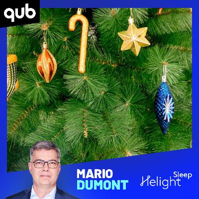 Hausse du prix du sapin de Noël: Francis Gosselin a la solution pour vous faire économiser !