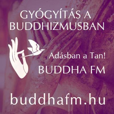 Mireisz László: Buddhista gyógyászat 1. rész - Egy új fogalom