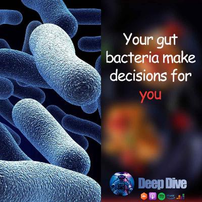 your gut bacteria make decisions for you!
