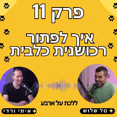 פרק 11 - איך לפתור רכושנות תוקפנית של כלבים - פודקאסט ללכת על ארבע עם טל שלוש ואיתי ורדי אילוף כלבים פרק 11 - איך לפתור רכושנות תוקפנית של כלבים - פודקאסט ללכת על ארבע עם טל שלוש ואיתי ורדי אילוף כלבים