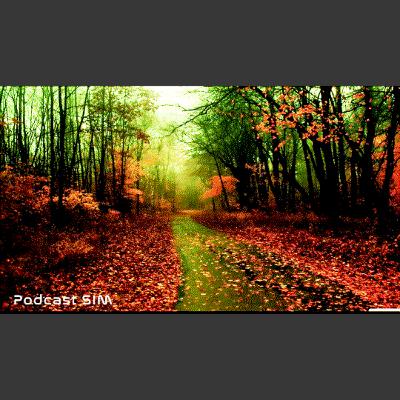 Um Tanto de Cada Coisa - Edmir St-Clair Um Tanto de Cada Coisa - Edmir St-Clair