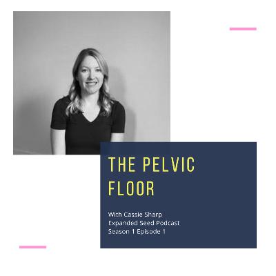 The Pelvic Floor with Cassie Sharp
