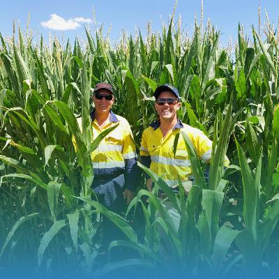 GRDC in Conversation: Courtney Piesse