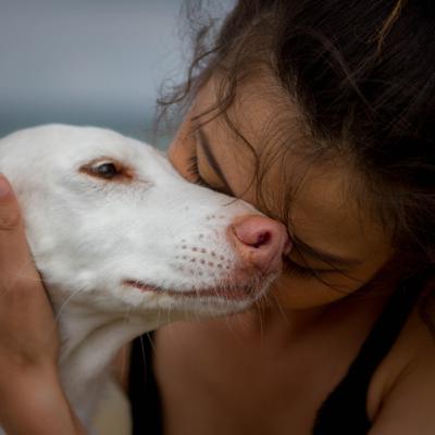 Le podenco / Léanne, Phoebe & Naboo