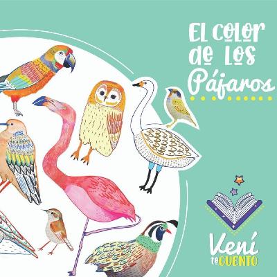 El color de los pájaros (Cuento) El color de los pájaros (Cuento)