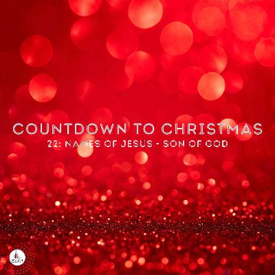 Countdown to Christmas - 22