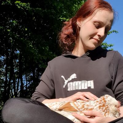 Hühnerhaltung im Garten - Plauderstunde mit Julia von @juulias_tierwelt #33
