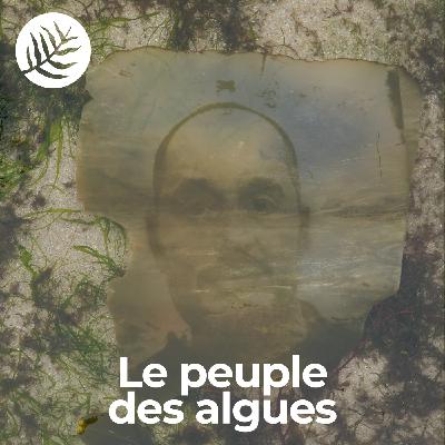 Le Peuple Des Algues : Alexandre Couillon - Ep6/10