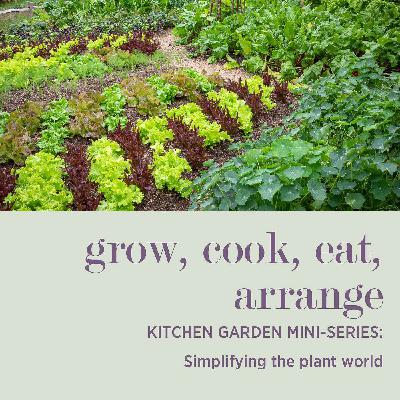 KITCHEN GARDEN MINI-SERIES: Simplifying the Plant World