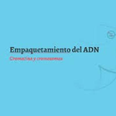 Niveles de empaquetamiento