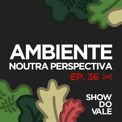 Ep.36 - Ambiente noutra perspectiva. Ep.36 - Ambiente noutra perspectiva.