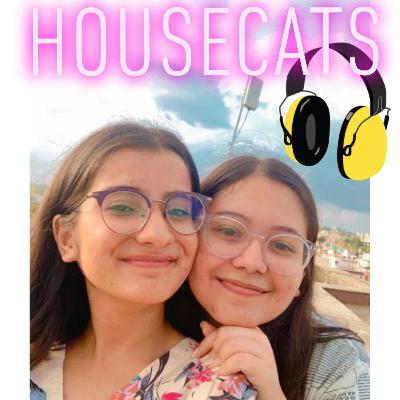 WHY ARE WE ? EPISODE 1 OF HOUSECATS