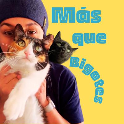 Marcaje en gatos: lo que tu gato está tratando de decirte Marcaje en gatos: lo que tu gato está tratando de decirte