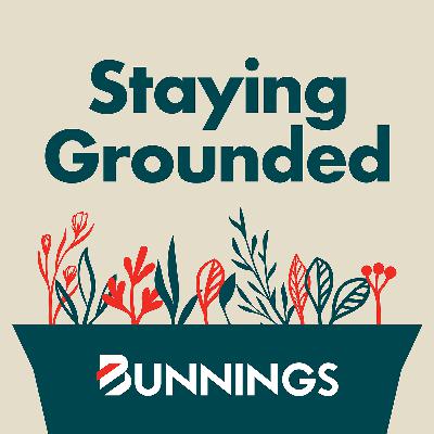 Staying Grounded Trailer