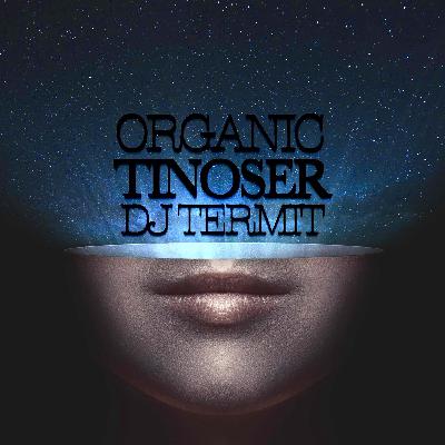 Dj Termit - Tinoser (Organic mix)