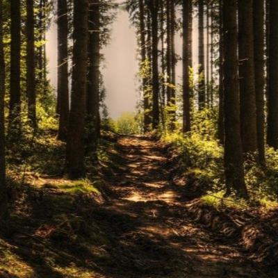 El abuelito y el zapato