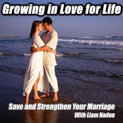 Deep Dive: The 30 Day Plan to Save and Transform Your Marriage