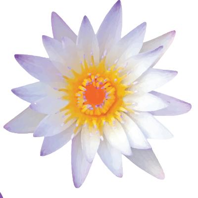 Dia 19- Você é deus