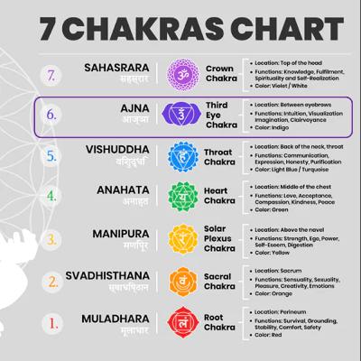 サメは血の匂いを感知する鋭い嗅覚で知られていますが、それだけではありません。