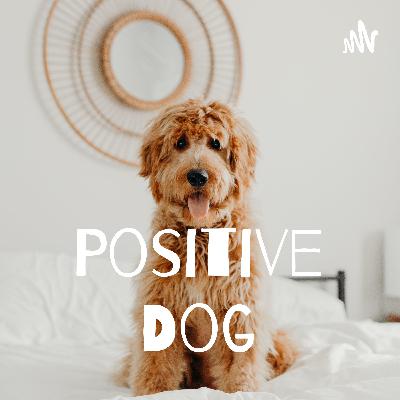 The Mental Load of Pet Parenting