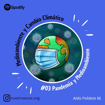 Pandemia y Medioambiente Pandemia y Medioambiente