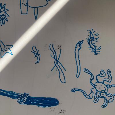 SBFs: Oceans of Wins