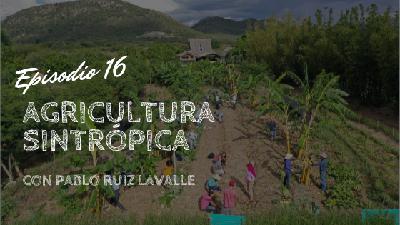 Agricultura sintrópica, con Pablo Ruiz Lavalle