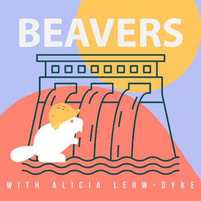 Dam, it's a Beaver! With Alicia Leow-Dyke Dam, it's a Beaver! With Alicia Leow-Dyke