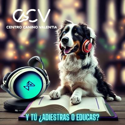 Y tú ¿Adiestras o Educas? Descubre las Diferencias Clave