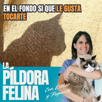 524. En el fondo si que LE GUSTA TOCARTE