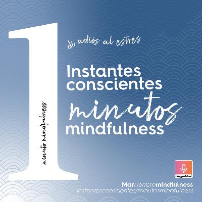 Un minuto de mindfulness para aliviar el estrés y conectar contigo.