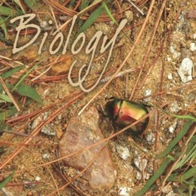 CH-21 NEURAL CONTROL AND COORDINATION