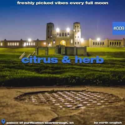 Citrus & Herb 009 Lemon Flowers Citrus & Herb 009 Lemon Flowers