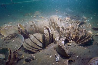 Wrecks off Taean prove a historical treasure trove as signs of new Goryeo Dynasty vessel discovered Wrecks off Taean prove a historical treasure trove as signs of new Goryeo Dynasty vessel discovered