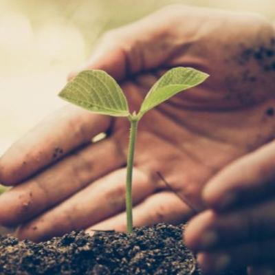 Sobre la humildad Sobre la humildad